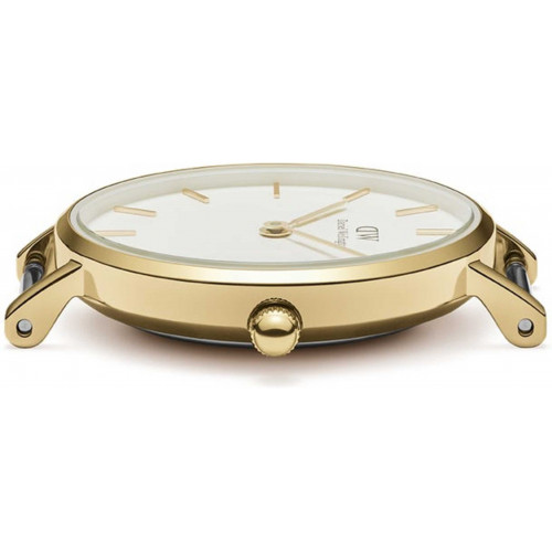 Daniel Wellington Petite Evergold 28mm