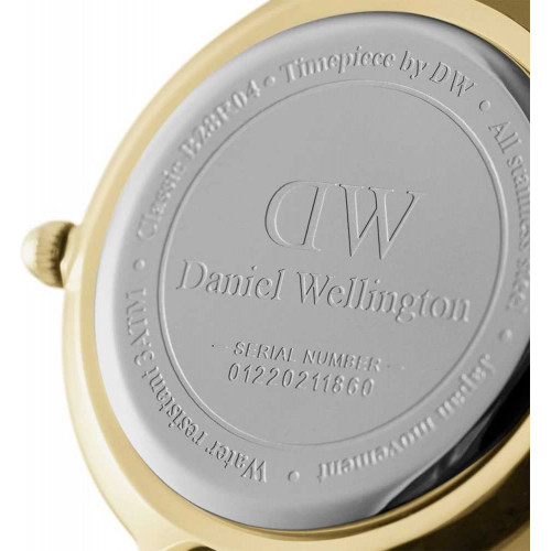 Daniel Wellington Petite Evergold 36mm