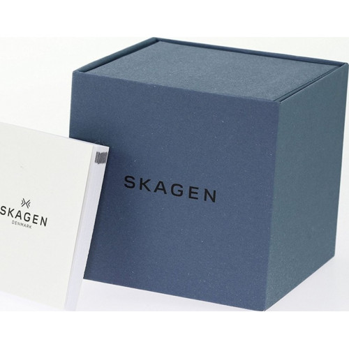 Skagen Freja Steel Mesh Watch 358SSLB